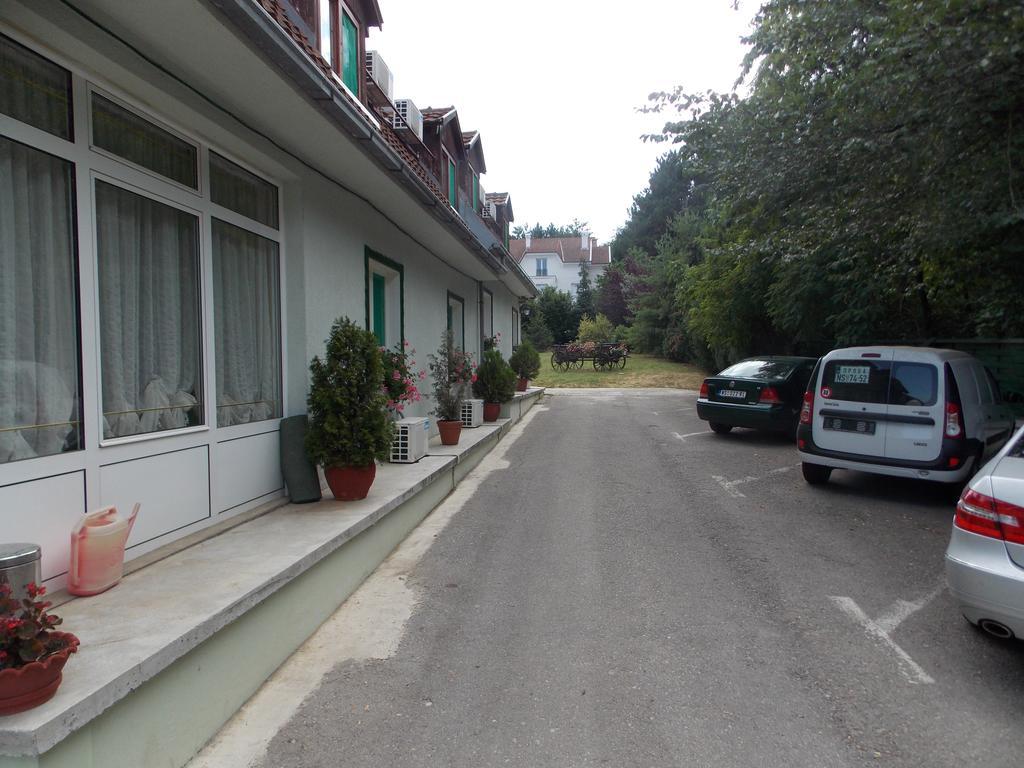 B&B Villa Evandjelina Sremska Kamenica Exterior photo