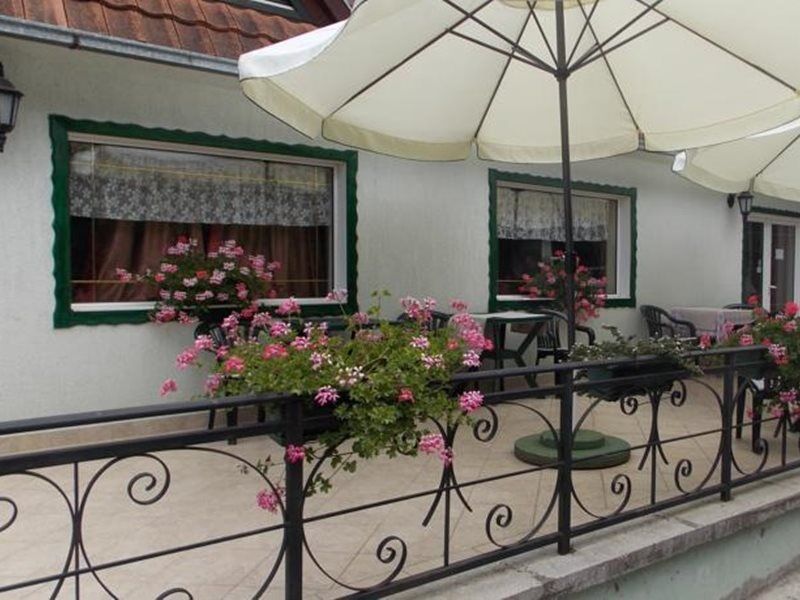 B&B Villa Evandjelina Sremska Kamenica Exterior photo
